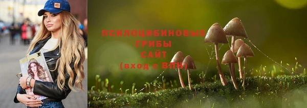 каннабис Дмитровск