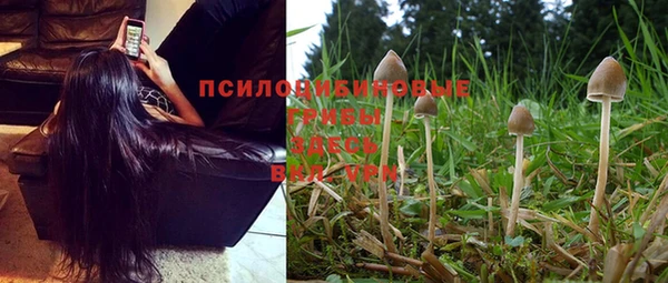 MDMA Дмитриев