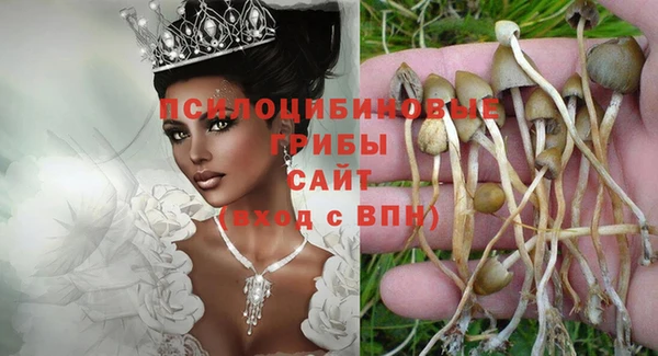 MDMA Дмитриев