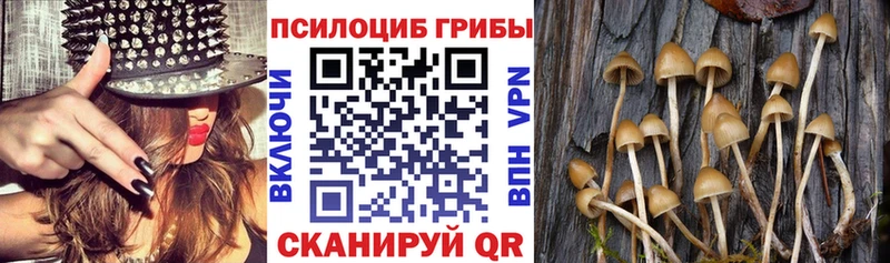 Псилоцибиновые грибы GOLDEN TEACHER  Купить закладки  Петровск 